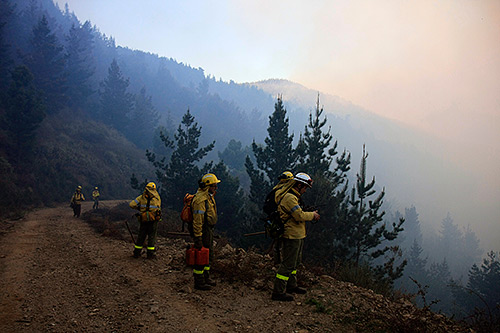Los tribunales han considerado que los bomberos del Infoca son culpables del incendio. Foto Archivo.