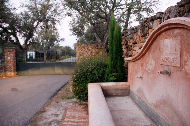 La Parchite es una de las zonas afectadas.