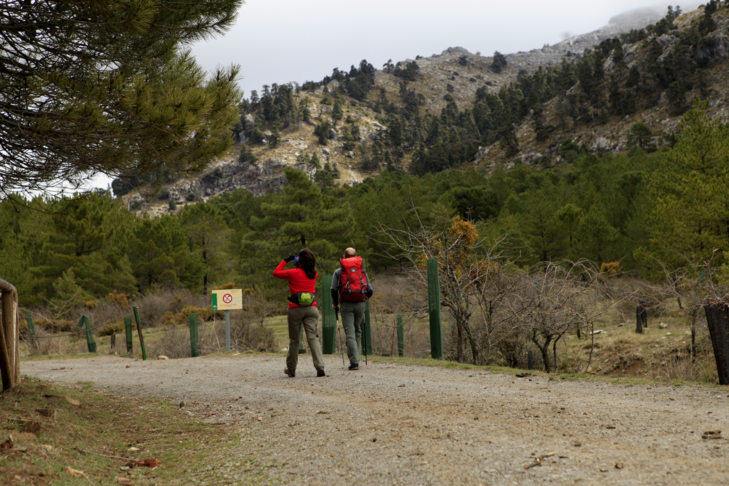 El Gobierno declarará próximamente a la Sierra de las Nieves como Parque Nacional.