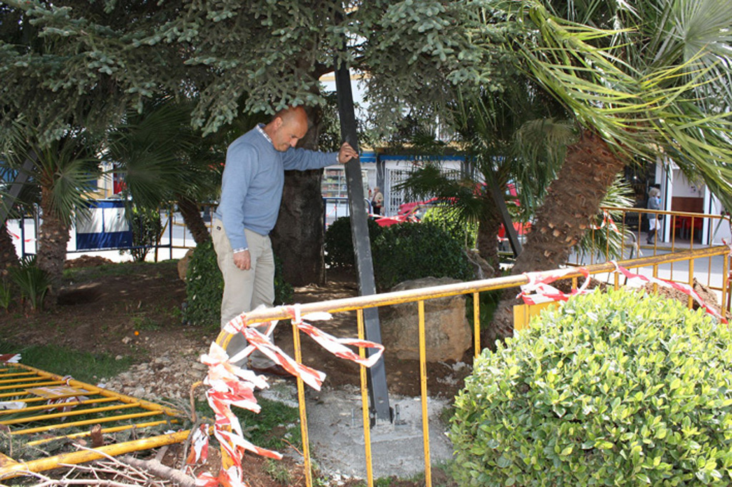 Trabajos realizados en el viejo pinsapo