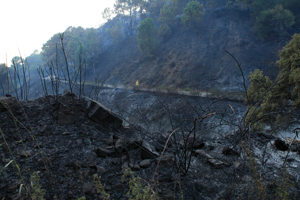 El fuego afectó a una superficie de arbolado y matorral.