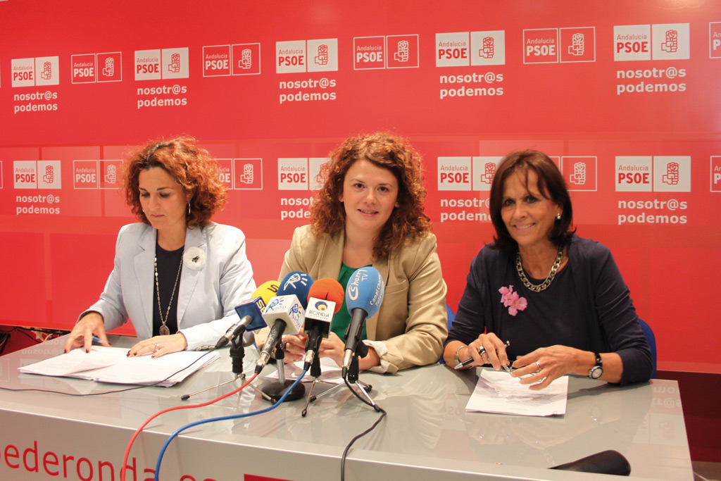 Valdenebro compareció ante la prensa junto a Serrano y Martel.