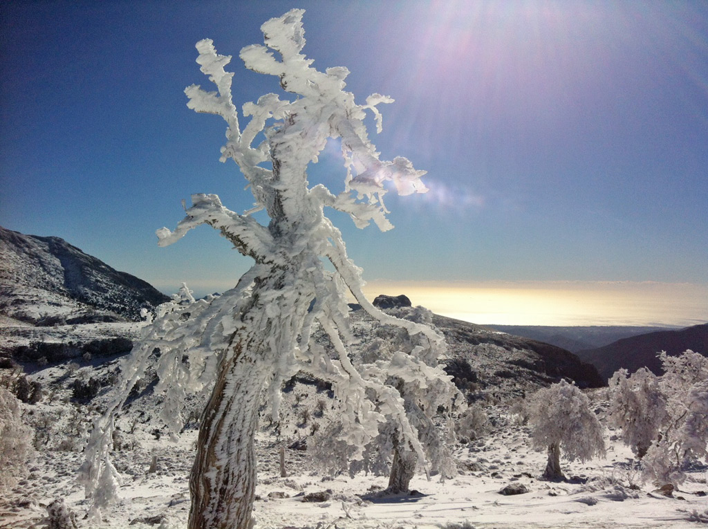 Estampa captada esta mañana en la Sierra de las Nieves.
