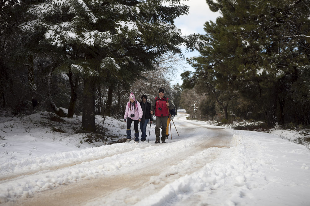 Senderistas paseando por los parajes de la Sierra de las Nieves.