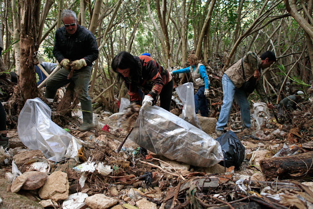 Hasta el momento únicamente se han realizado limpiezas por parte de voluntarios.
