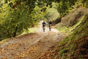 Paso de los corredores por los bosques de castaños de Cartajima.
