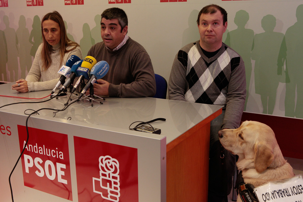 Concejales del PSOE rondeño, ayer en rueda de prensa.