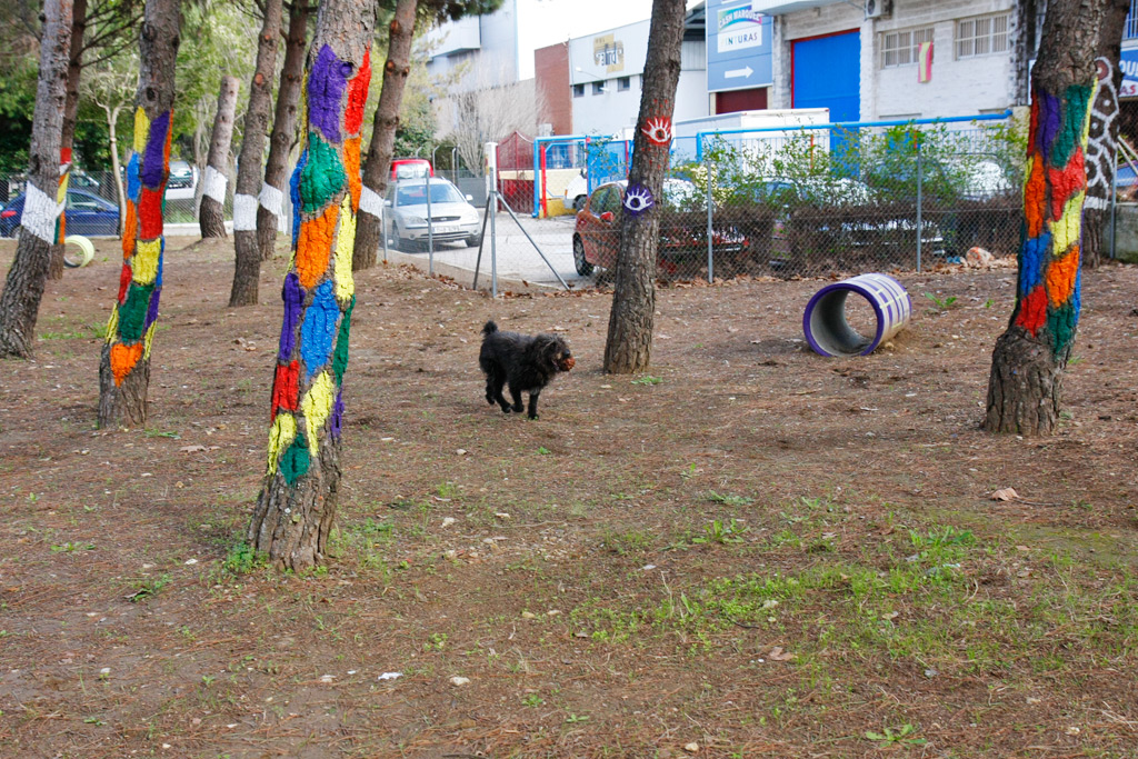 Fígaro ha sido el primer perro en disfrutar del parque.