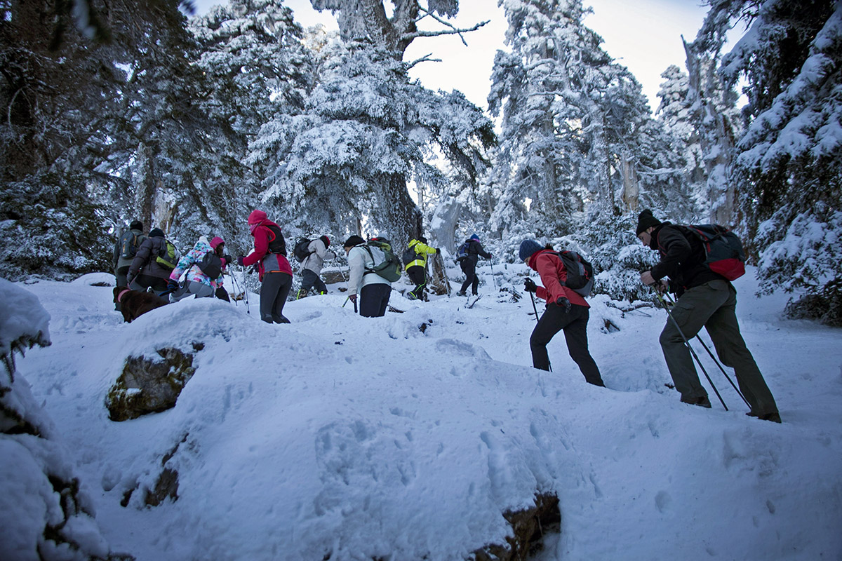 Se cumplen 25 años de la declaración de la Sierra de las Nieves como Reserva de la Biosfera,