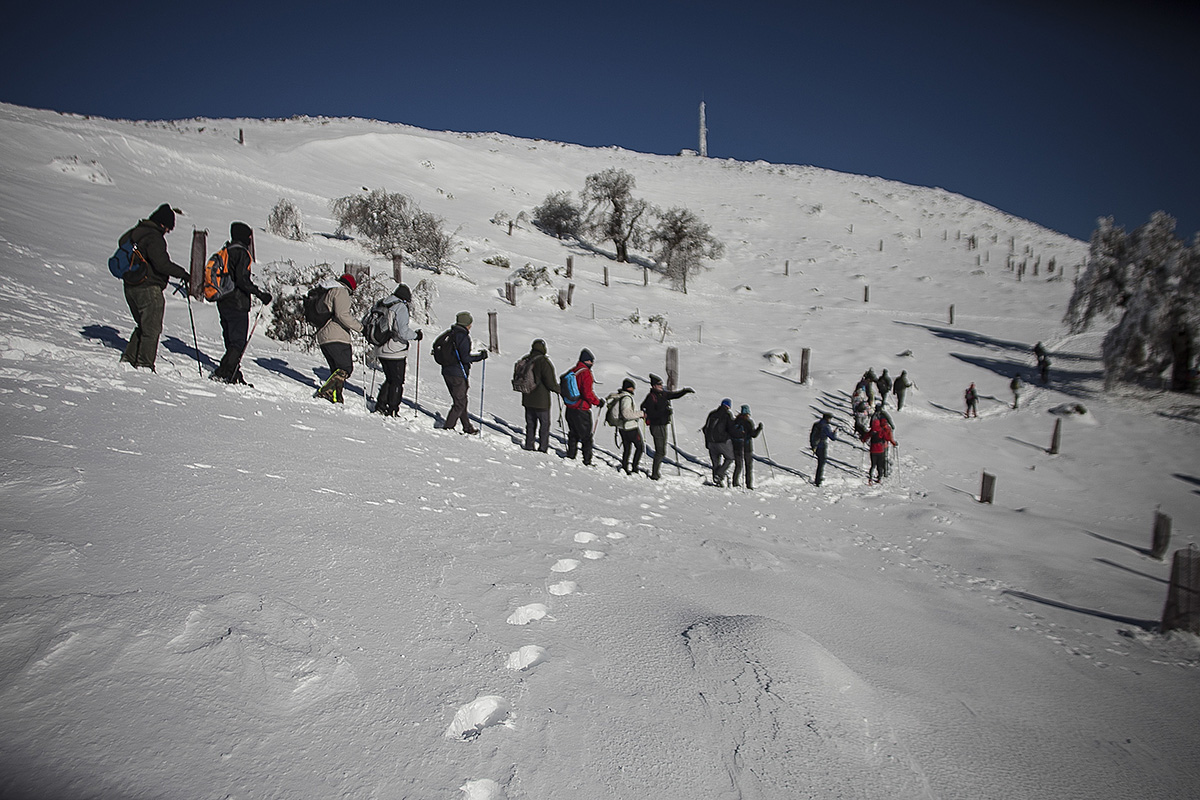 Numerosos senderistas recorren estos parajes únicos de la Serranía de Ronda.