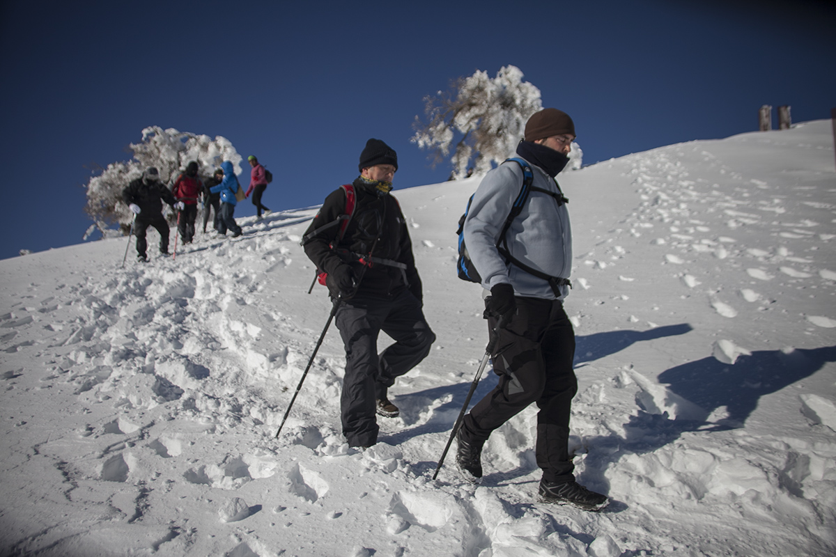 La Mancomunidad de la Sierra de las Nieves diseña una app sobre los senderos del Parque Nacional