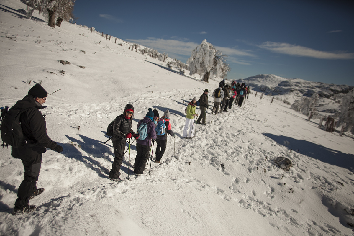 Un grupo de senderistas recorre parajes de la Sierra de las Nieves.