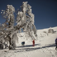 El concurso busca poner en valor todos los recursos del Parque Nacional Sierra de la Nieves.