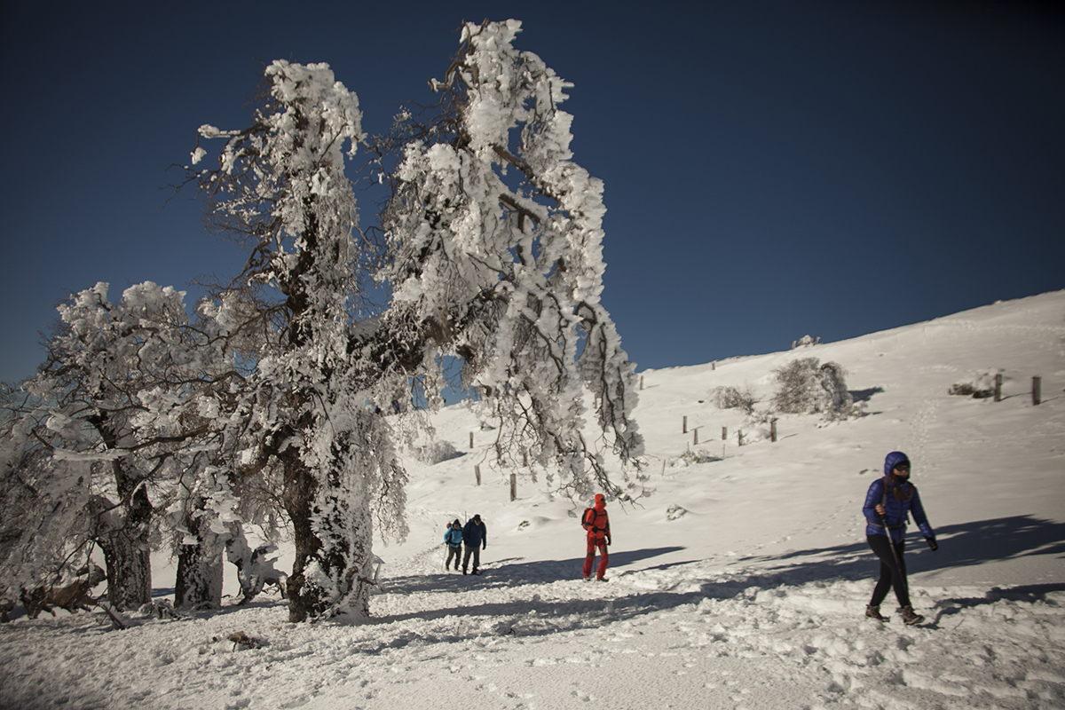 La Sierra de las Nieves convoca su XVI Concurso Fotográfico para mostrar la riqueza natural y humana del Parque Nacional