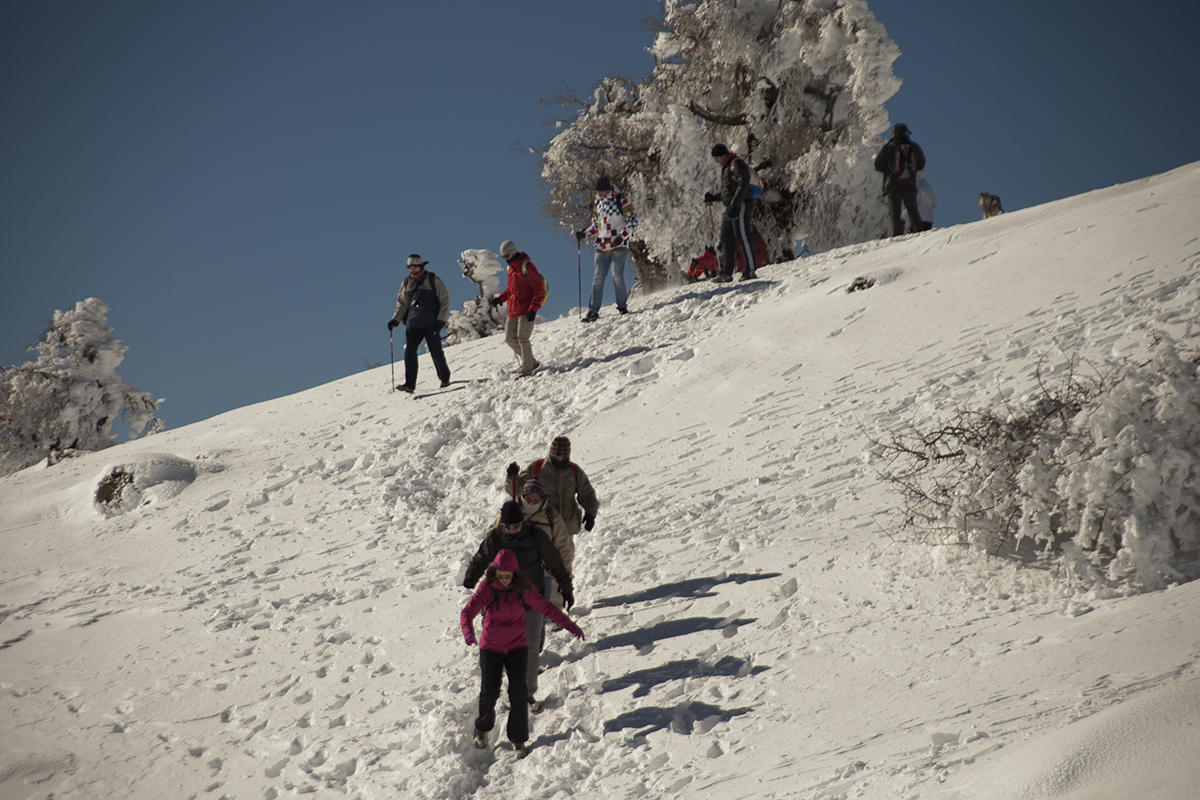 Senderistas paseando por los parajes de la Sierra de las Nieves.