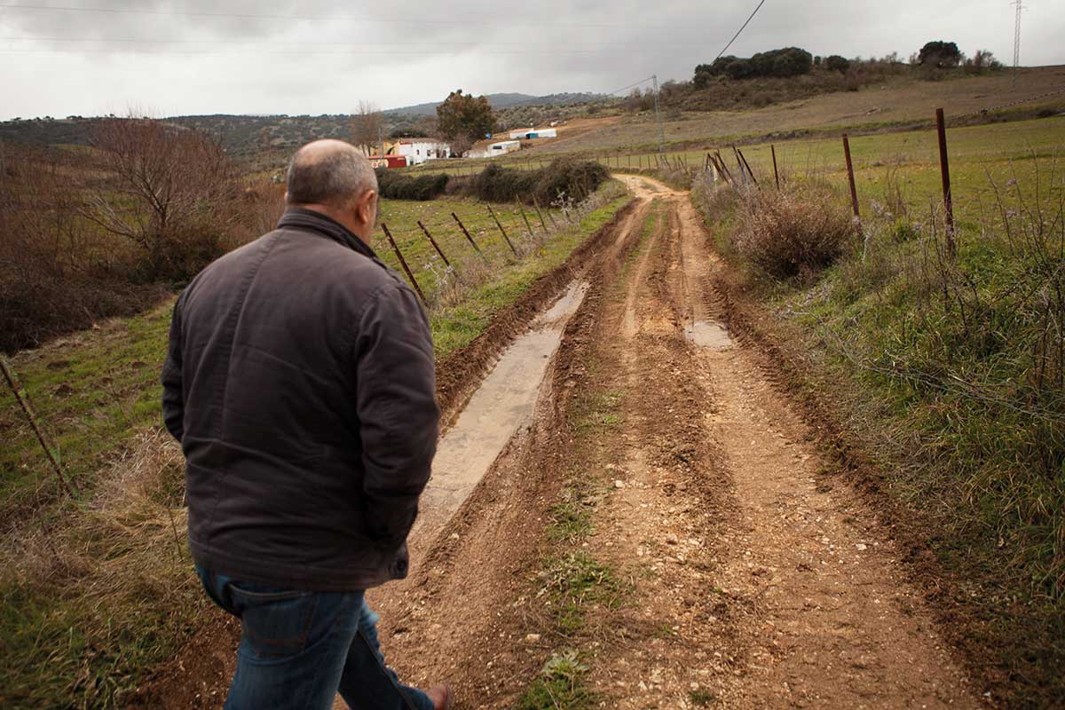 Uno de los carriles del término municipal de Ronda.