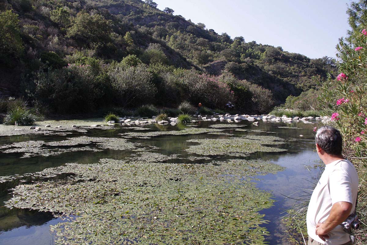 El río Guadiaro discurre por varios municipios de la Serranía de Ronda.
