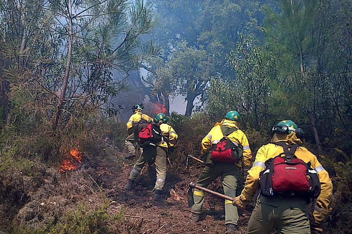 Efectivos del Plan Infoca de Ronda apagando un incendio en la Serranía.