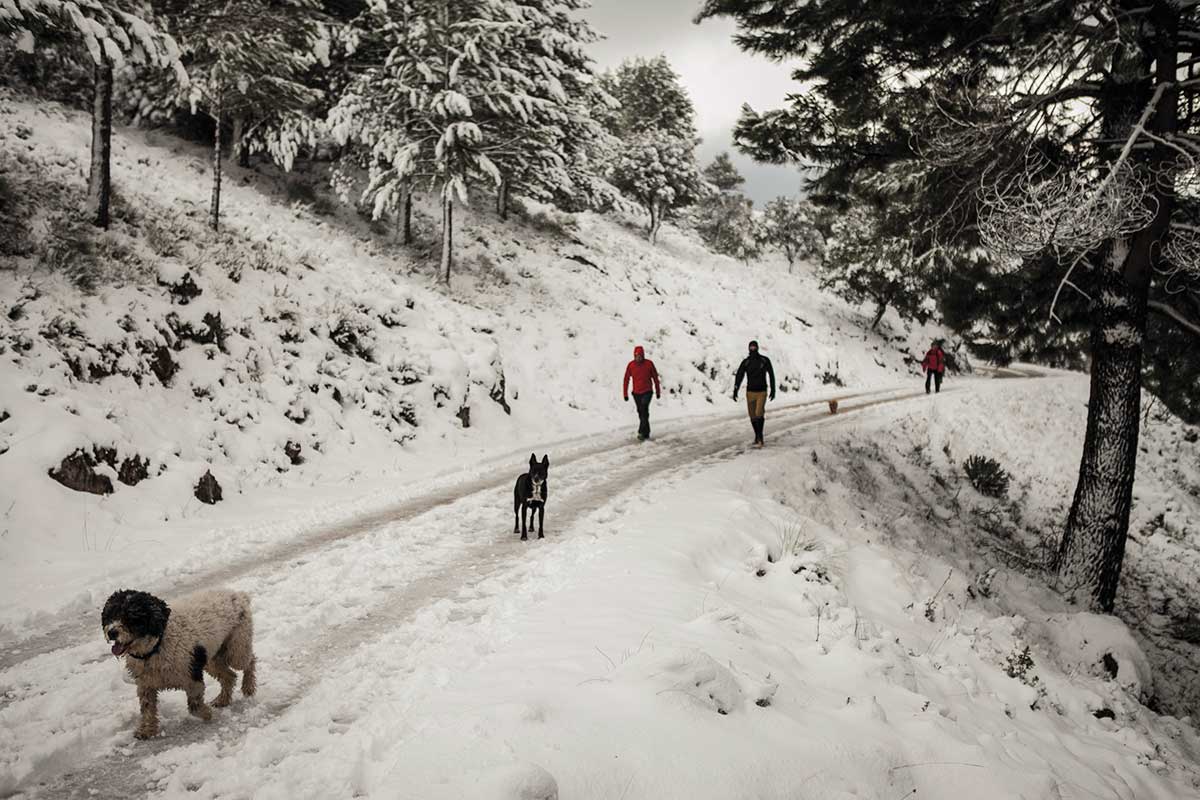 La Sierra registra una gran afluencia de visitantes tras cada nevada.