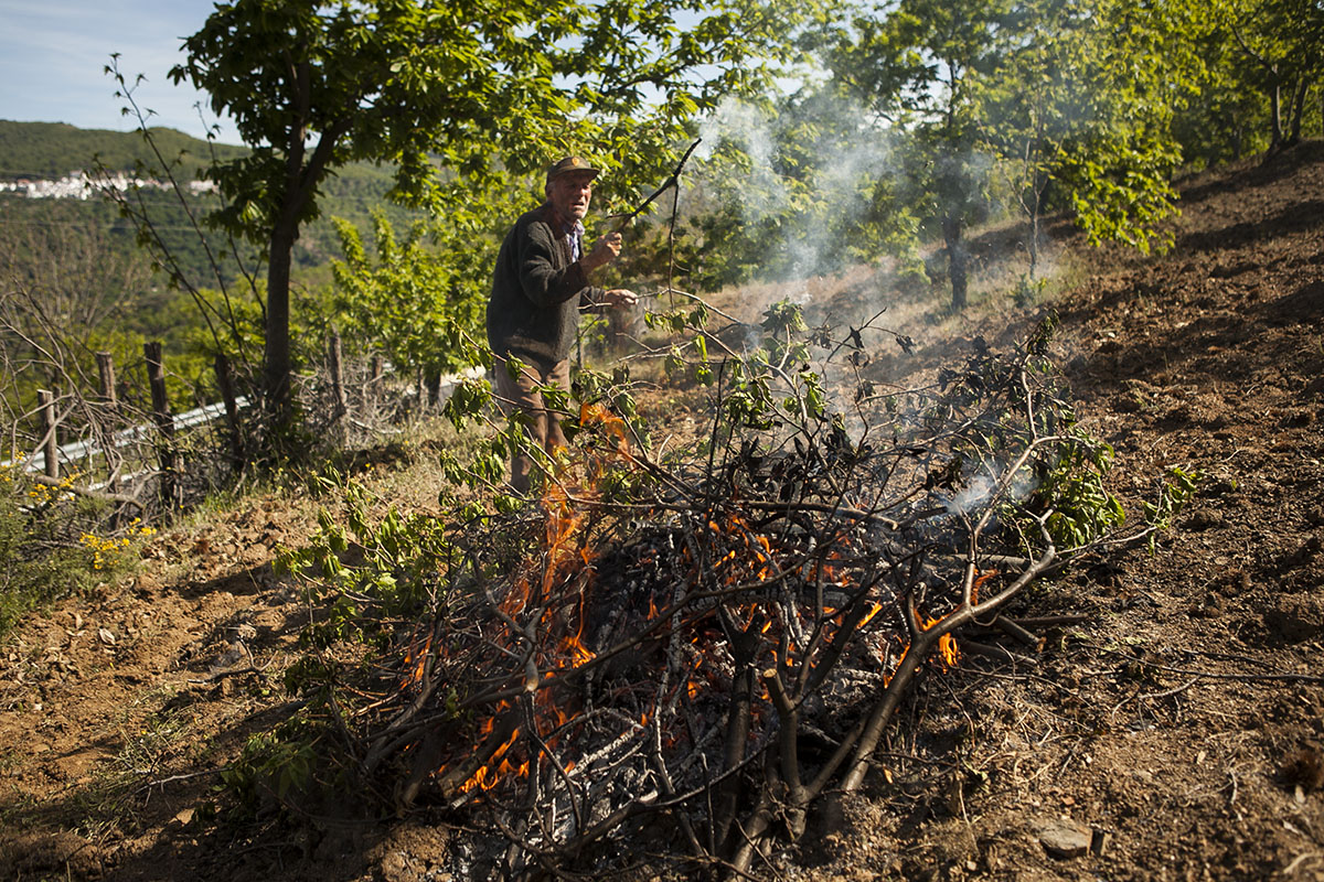 Queda prohibido todo tipo de quema de rastrojos en zonas forestales de toda Andalucía.