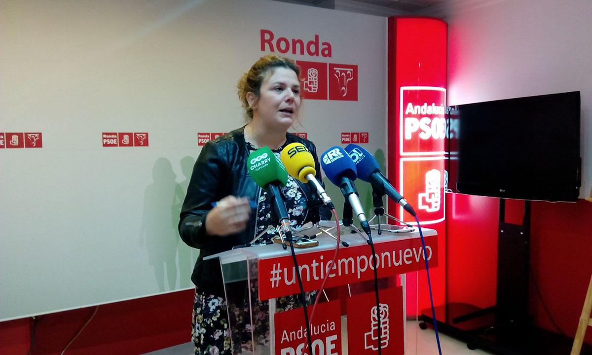 Teresa Valdenebro ofreciendo la rueda de prensa en la sede socialista.