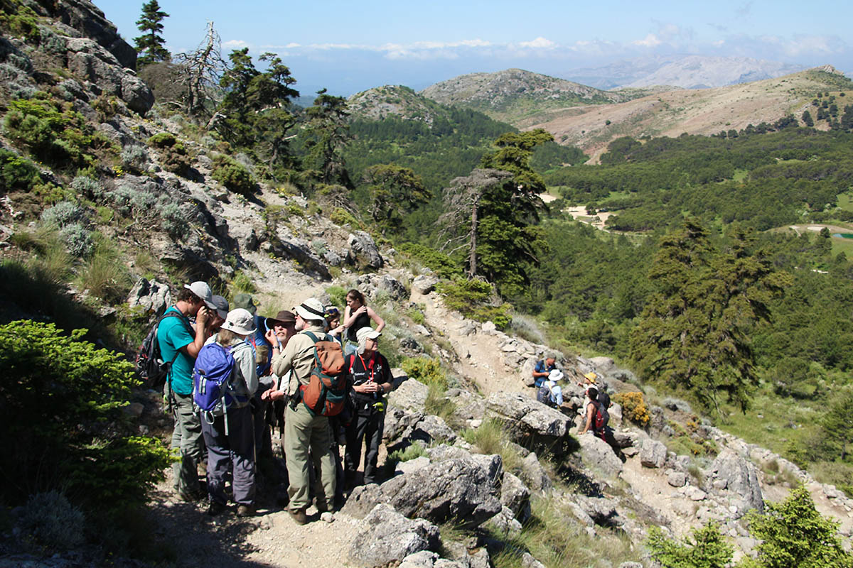 El turismo medioambiental es otra de las ofertas que ofrece Ronda.
