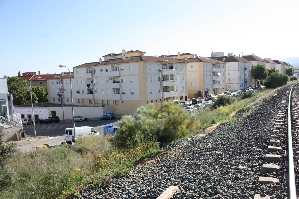 La retirada de los nidos ha ocurrido en un bloque del Olivar de las Monjas.