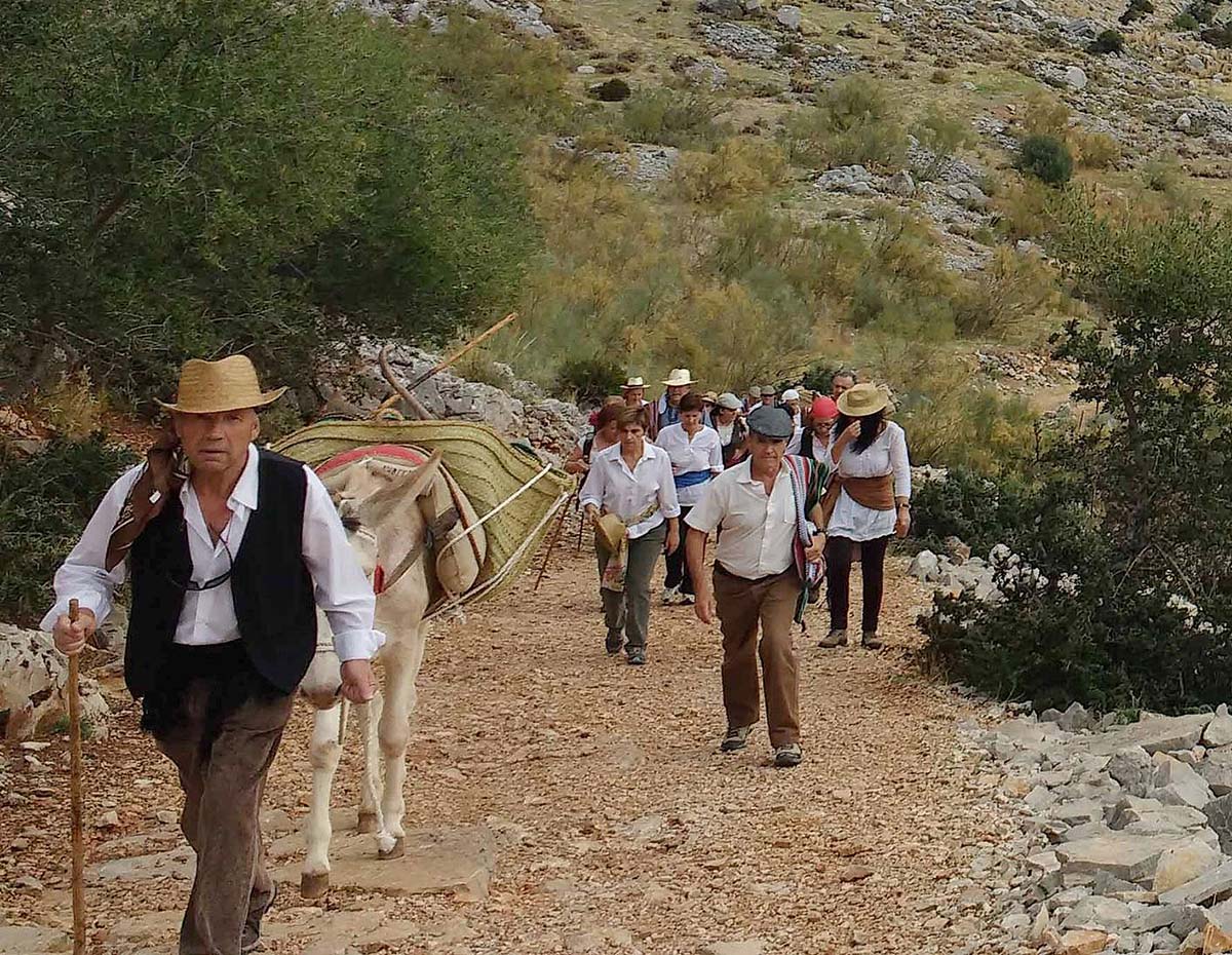El paseo con los équidos tendrá lugar el 18 de noviembre.