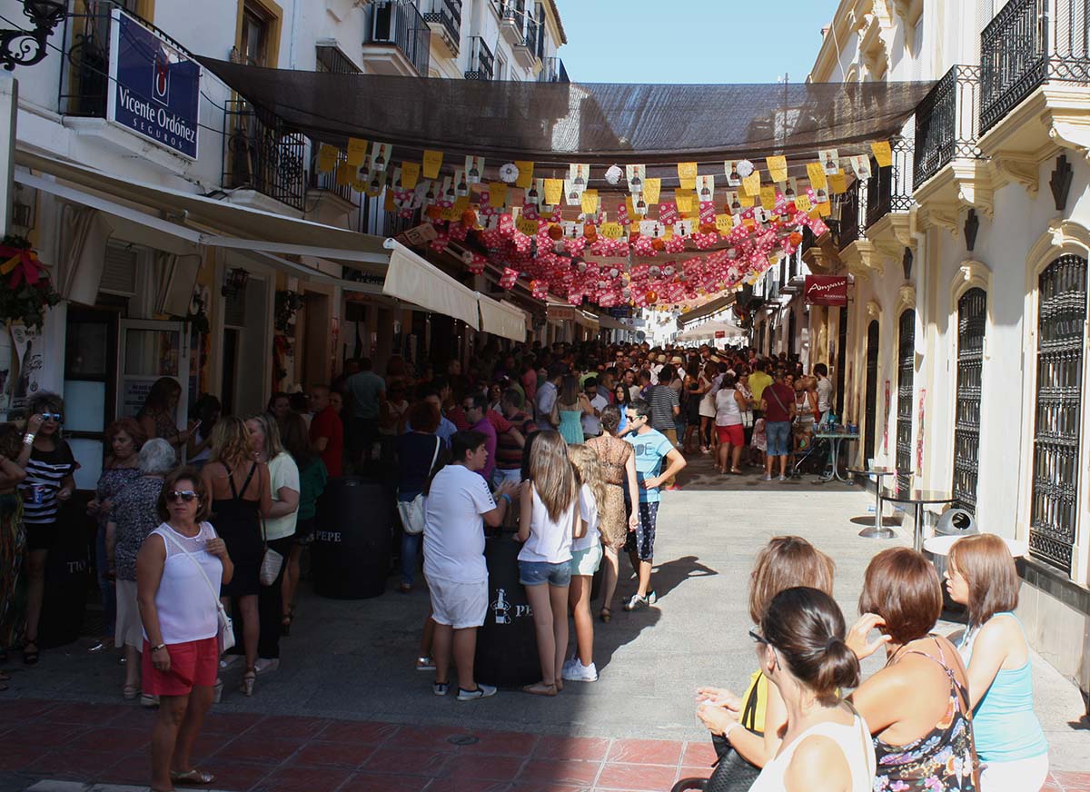 Las barras se podrán situar en comercios de las zonas peatonales del centro.