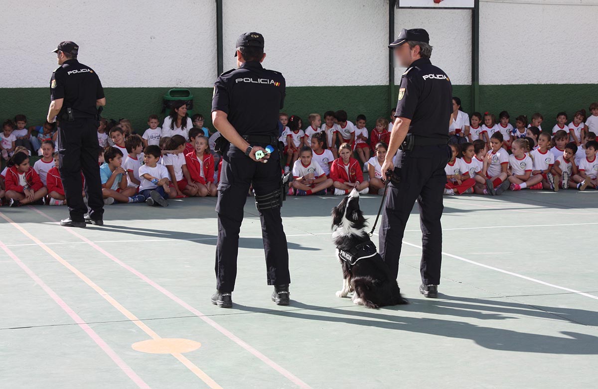 La Policía Nacional ha explicado el trabajo que realizan sus perros.