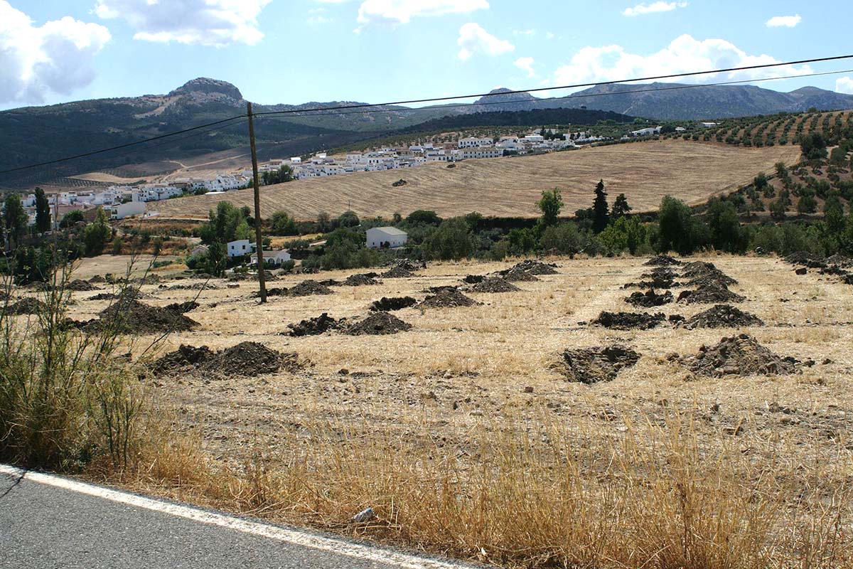 Los huecos en la tierra están situados en gran parte de la parcela.