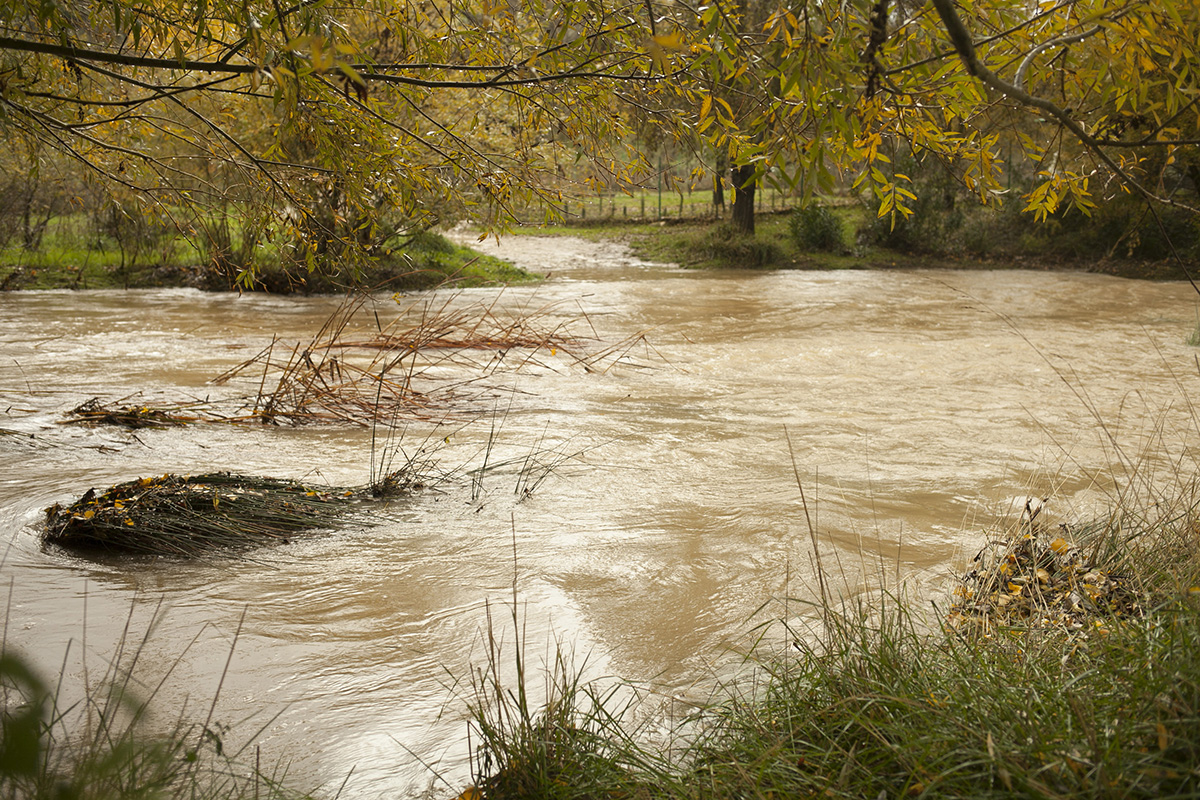 Imagen del río Guadalevín a su paso por Los Tejares de Ronda. Foto Zago.