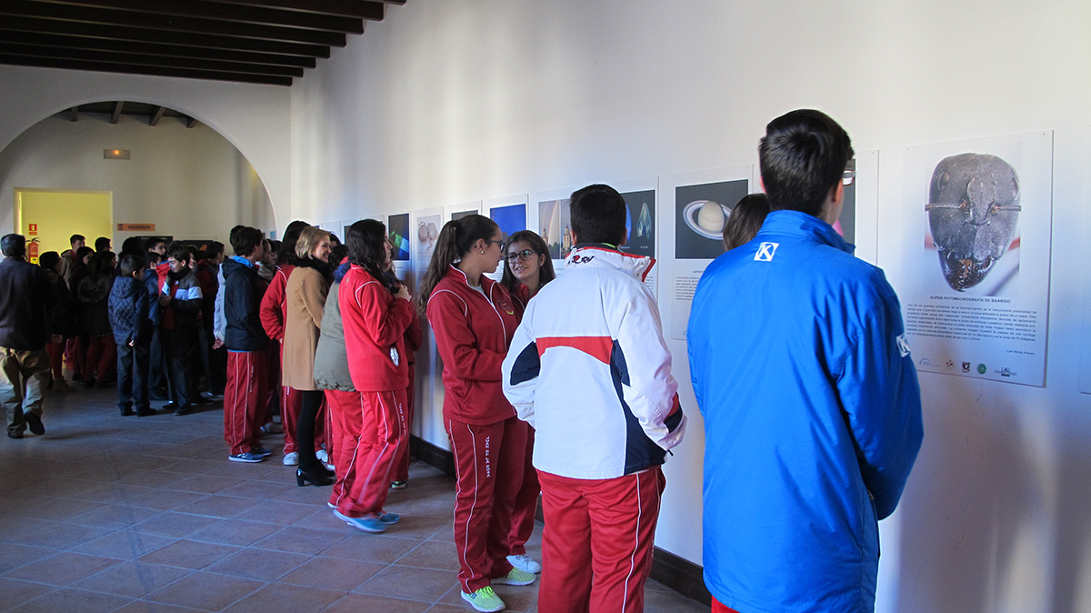 Los alumnos rondeños están participando en las diferentes exposiciones.