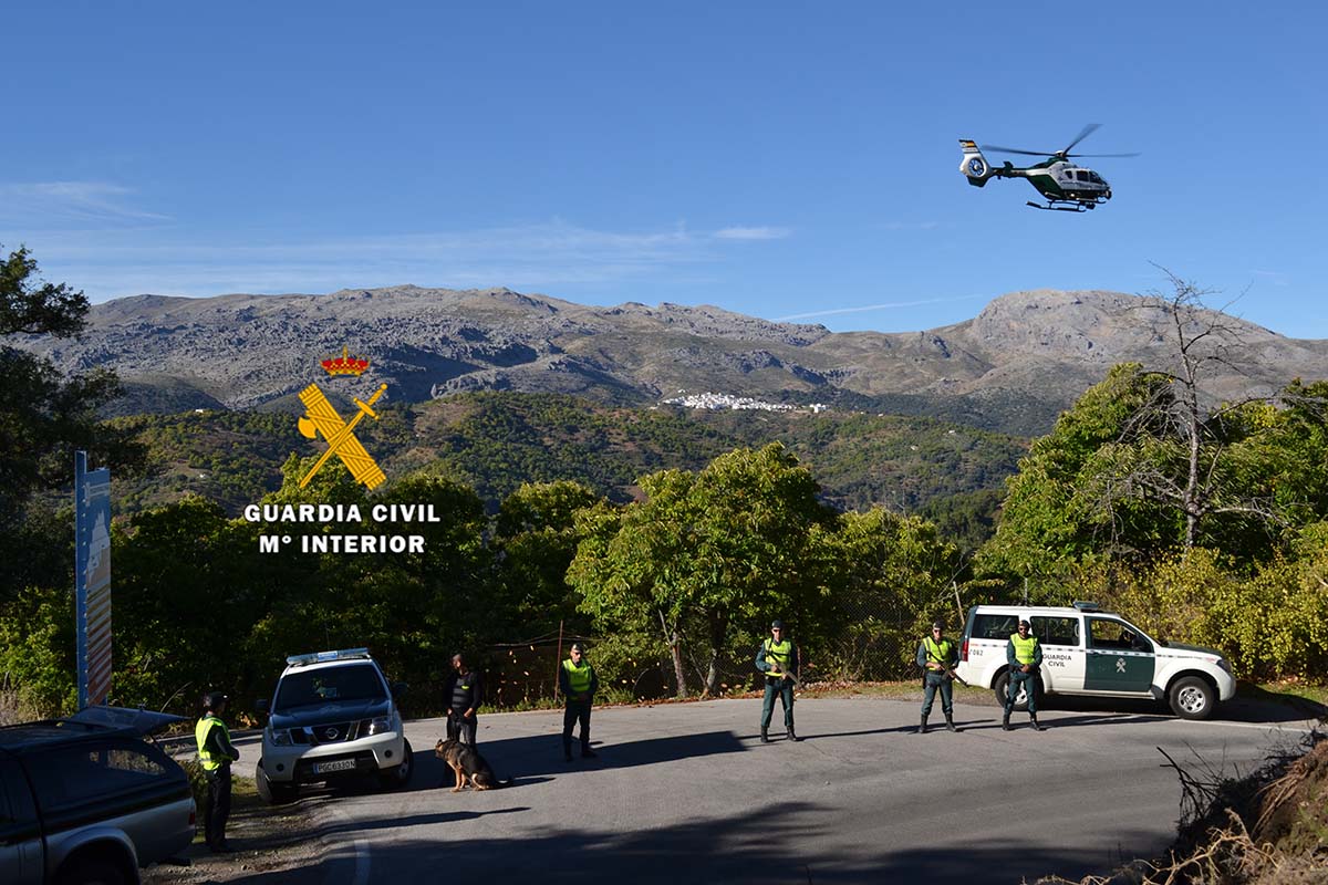 La Guardia Civil ha establecido un dispositivo especial para acabar con los robos de castañas en el Genal.