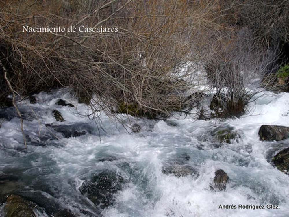 Importante caudal de agua en el nacimiento de Cascajares. Foto Andrés Rodríguez.