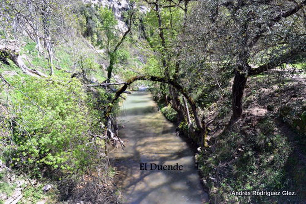 Arco natural sobre el río a su paso por El Duende. Foto Andrés Rodríguez.