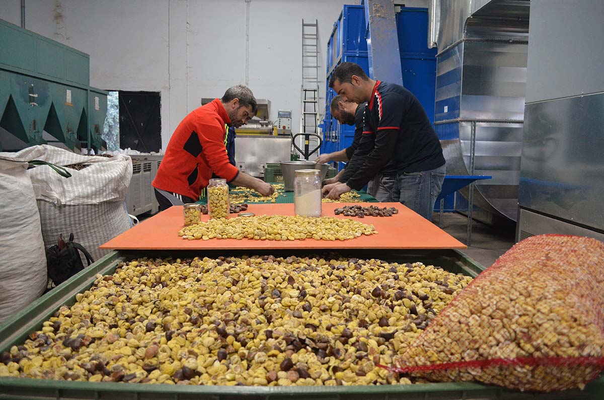 La Cámara de Comercio de Málaga ofrece en Ronda unas jornadas para la internacionalización de las empresas locales