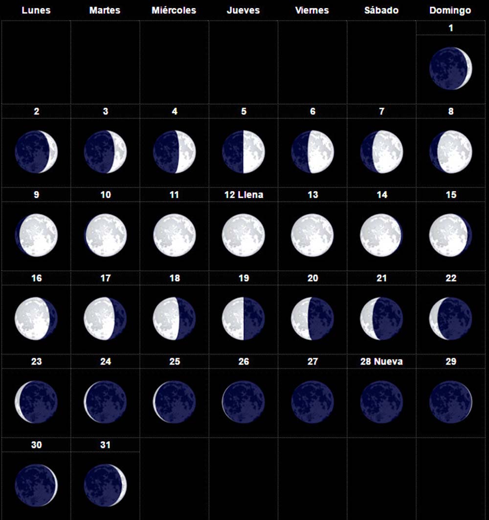 Cuadro con las distintas fases lunares del mes de enero.