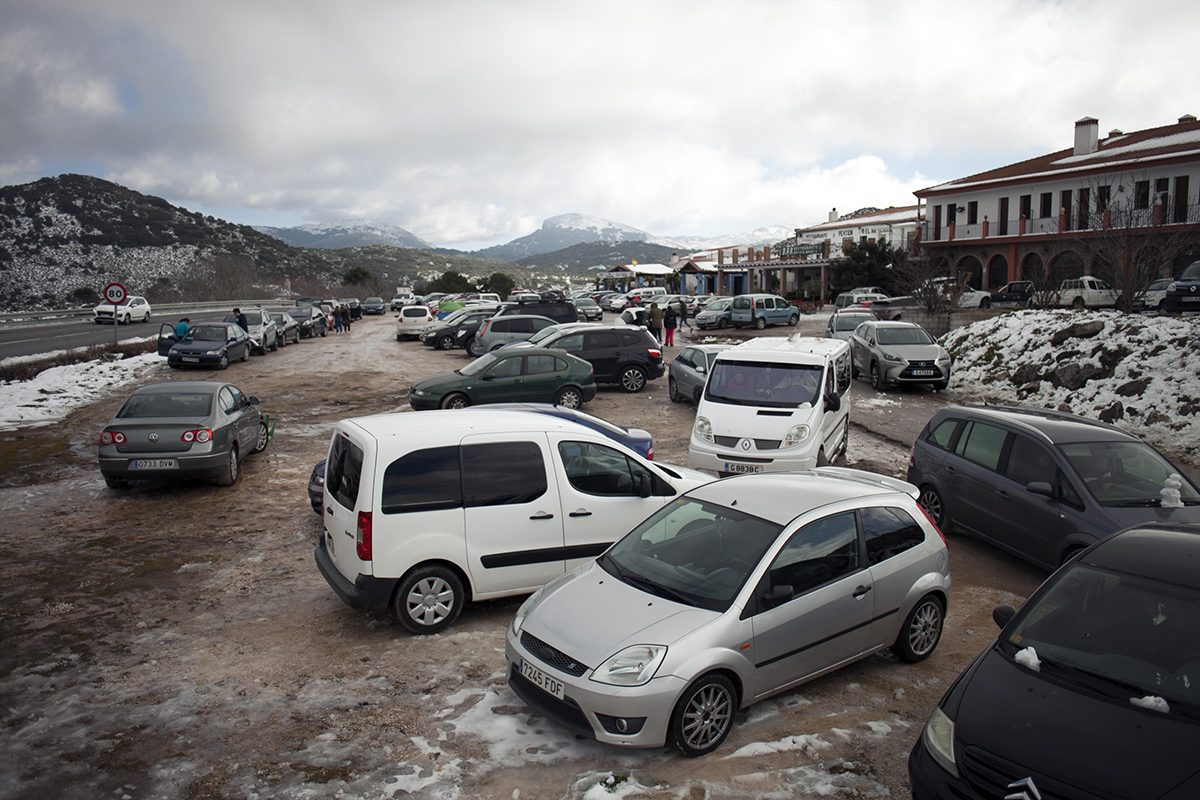 Cientos de vehículos tuvieron que aparcar en las inmediaciones del Parque Natural Sierra de las Nieves, al llenarse los dos parkings.