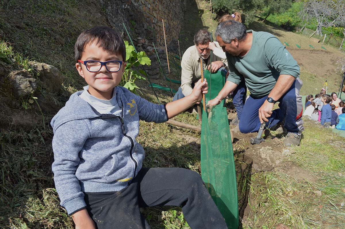Un alumno planta un castaño en el término municipal de Jubrique.