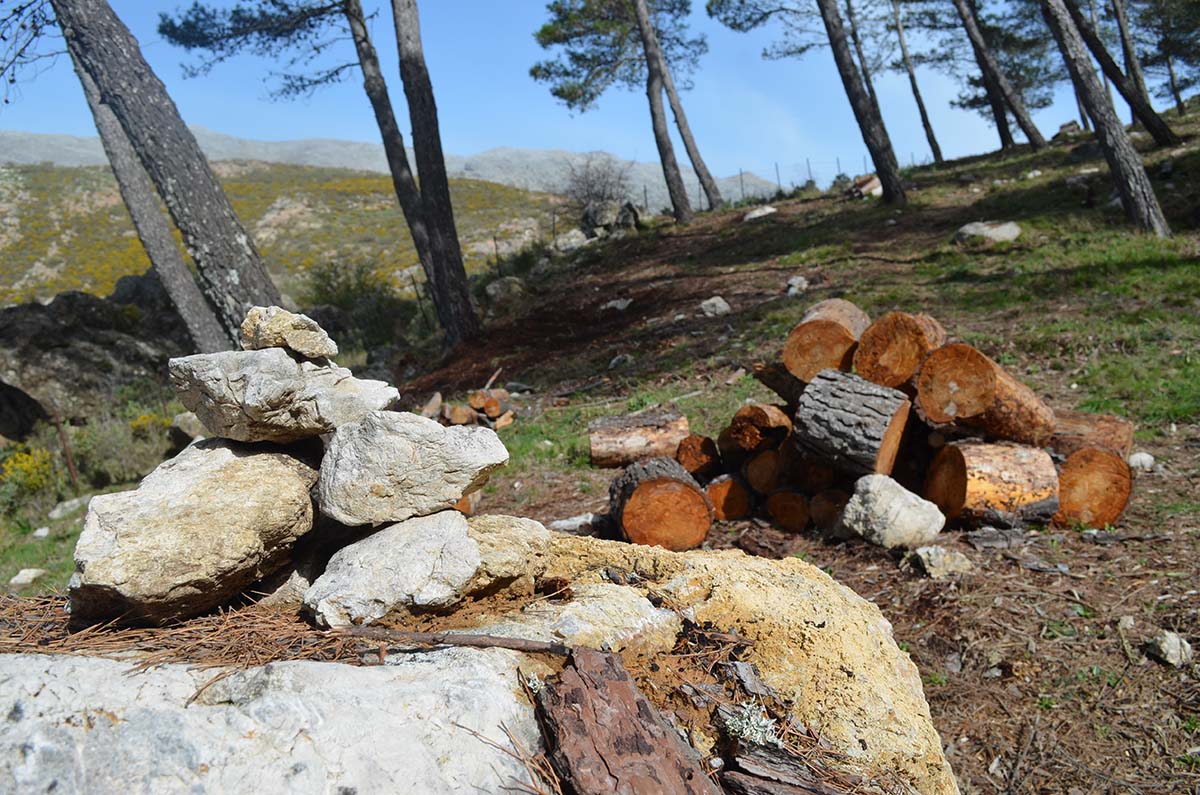 Parajes por los que discurre el sendero El Romeral de Faraján.