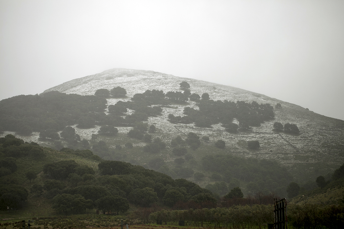Imagen que presentaban esta mañana los parajes de la Sierra de las Nieves.