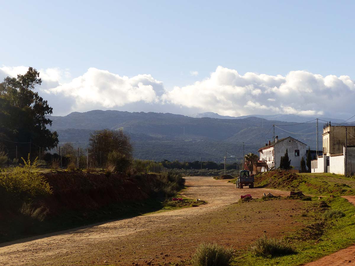 Las obras de la variante de Arriate siguen a día de hoy paralizadas.