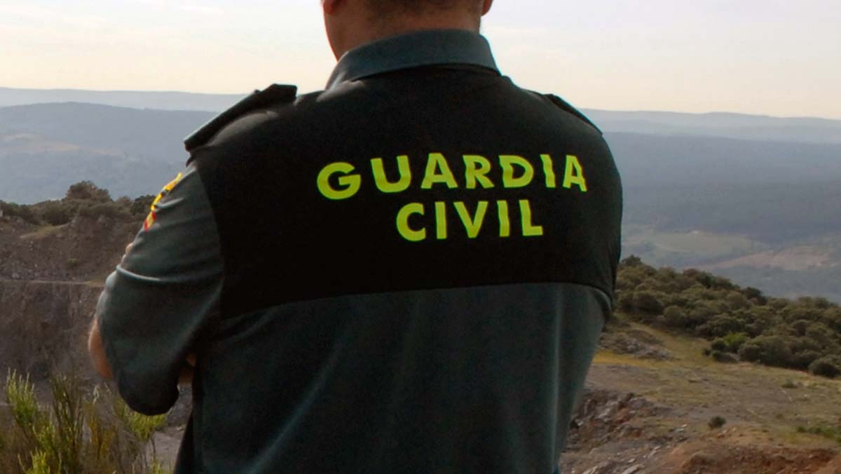 Al detenido se le acusa de 12 delitos de estafa realizados a través de Internet.