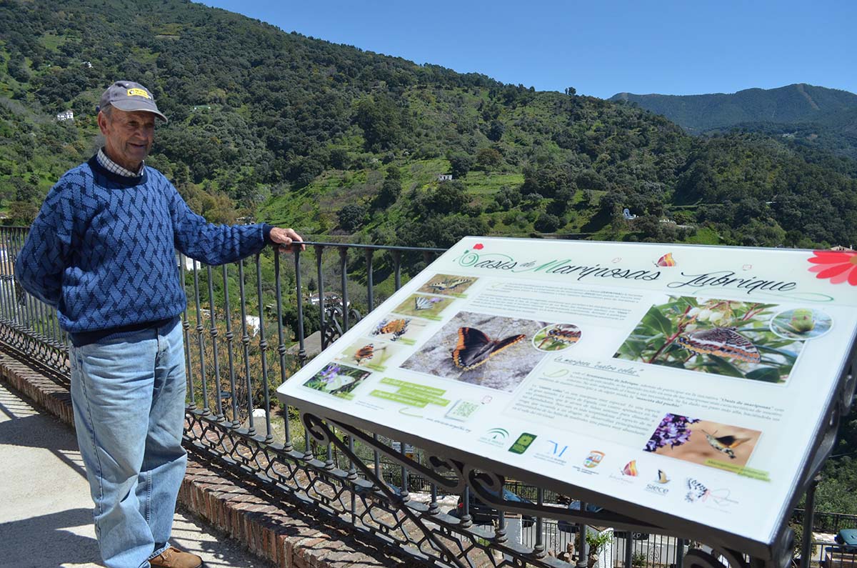 Un vecino contempla desde un balcón del pueblo el oasis de mariposas.