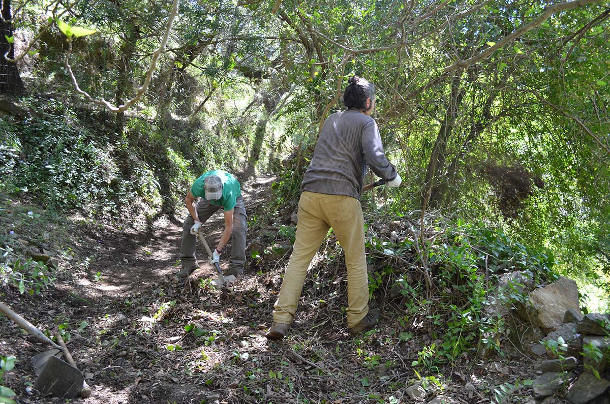 El Ayuntamiento de Alpandeire ya ha iniciado los trabajos de mejora en los caminos.