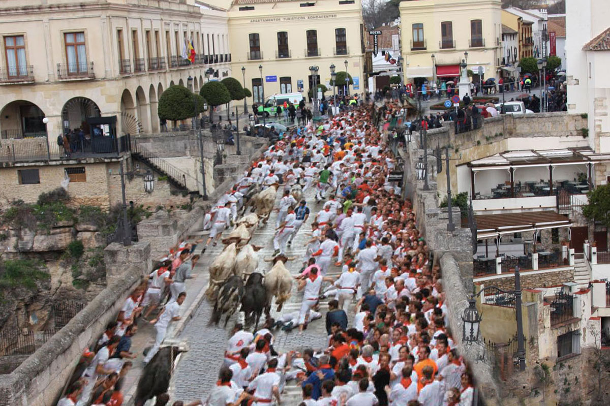 Simulación de un posible encierro de toros cruzando el Puente Nuevo de Ronda.
