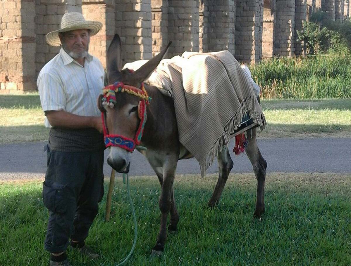 Isidro García, con su burra, a su paso por Mérida en un recorrido de 600 kilómetros.