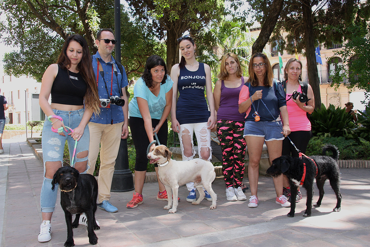 Miembros de la Asociación Protectora de Animales y los dos fotógrafos que colaboran en la campaña de adopciones.