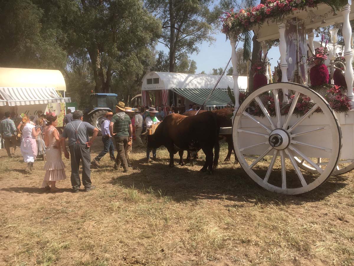 La Hermandad del Rocío de Ronda afronta la cuarta jornada del camino con un intenso calor y con atascos